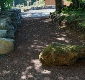 Près de Cône - Saint-Ours - 4