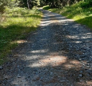 Près de Cône - Saint-Ours - 5