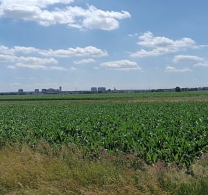 Z lotniska Gliwice, na tężnie Knurów - Gliwice - 4