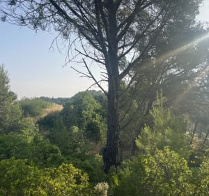 Randonnée sympathique à  Entraigues sur la Sorgue - Entraigues-sur-la-Sorgue - 3
