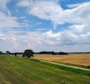 Jazda przez las nas jezioro - Opole - 3