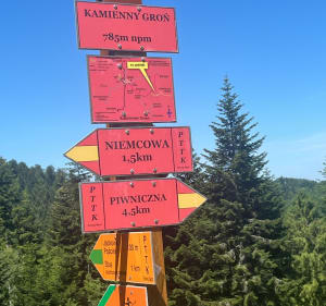 Niemcowa 963 m n.p.m. - Piwniczna-Zdrój - 3