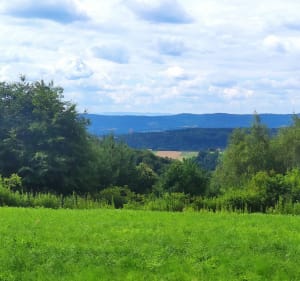Pogórze Wiśnickie wschodnie - Wojnicz - 4