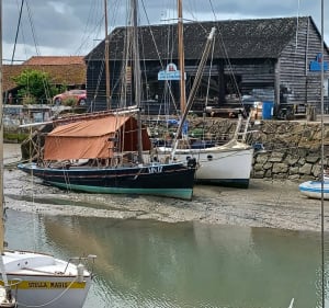 Noirmoutier, ces venelles et roses trémières - Noirmoutier-en-l'Île - 5