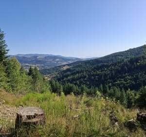 Vocance-La Roche des Vents-Boiray-Vocance - Vocance - 5