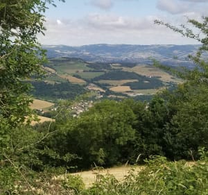Boucle croix de Montvieux par le collet de Doizieux - Doizieux - 3