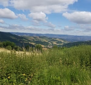 Boucle croix de Montvieux par le collet de Doizieux - Doizieux - 4