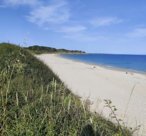 Raguenez à Kercanic : Côte Sauvage et Chaumières - Névez - 3
