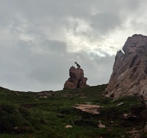 Grand tour au départ des Fontanettes - Pralognan-la-Vanoise - 2