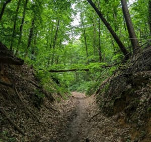 Tour du rocher de Saulx-les-Chartreux - La Ville-du-Bois - 3
