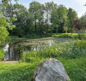 Balade dans Quevreville la poterie - Quévreville-la-Poterie - 4