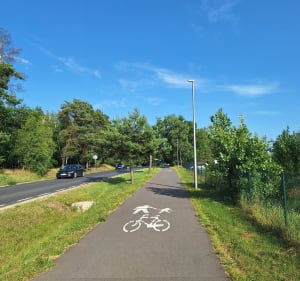 Króciutka trasa z Rokietnicy do Cerekwicy i z powrotem - Rokietnica - 4