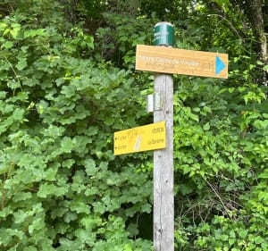Le tour de la Vouise avec vue panoramique sur Voiron - Voiron - 4