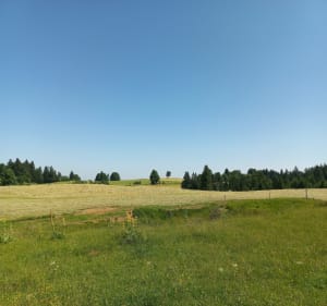 Crêt Monniot entre pâturages et forêts - Arc-sous-Cicon - 5