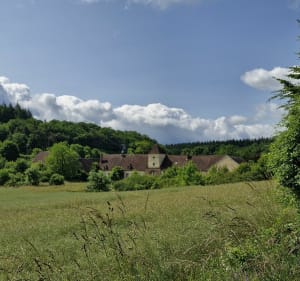 Autour de La Celle-Saint-Cyr - La Celle-Saint-Cyr - 3