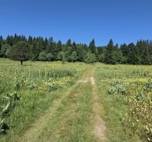 Randonnée du patrimoine 17 kilomètres - Corrençon-en-Vercors - 4