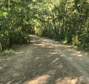 Balade à partir du chemin saint jean - Colomiers - 3