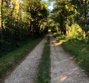 Balade au sud de Chatillon sur Chalaronne - Châtillon-sur-Chalaronne - 3
