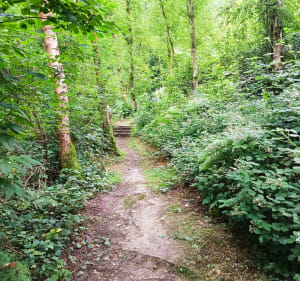 Rando parcours des Basses Eaux - Grainville-la-Teinturière - 3