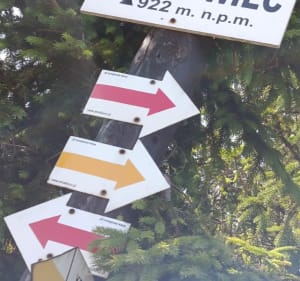 Etap IV Małego Szlaku Beskidzkiego Zembrzyce Leskowiec Rzyk - Zembrzyce - 3