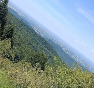 Etap IV Małego Szlaku Beskidzkiego Zembrzyce Leskowiec Rzyk - Zembrzyce - 4