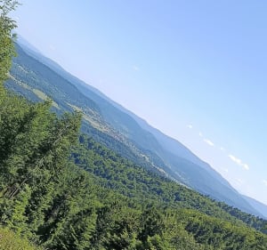 Etap IV Małego Szlaku Beskidzkiego Zembrzyce Leskowiec Rzyk - Zembrzyce - 5