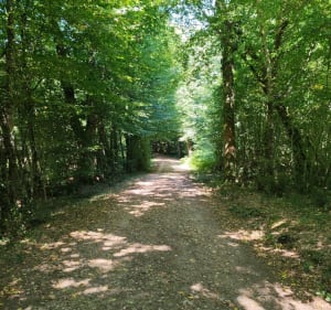 Balade au départ de Saint-Sauveur-Lalande - Saint-Sauveur-Lalande - 4
