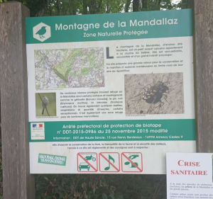 Mandallaz Ramesse - La Balme-de-Sillingy - 3