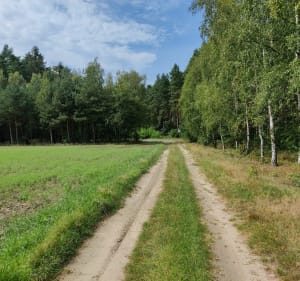 Płaskie szutry z asfaltowym finiszem - Polkowice - 4