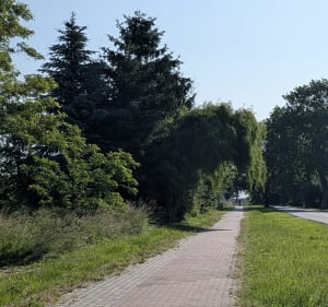 Malbork Nowy Staw przez Świerki - Jacek - 3