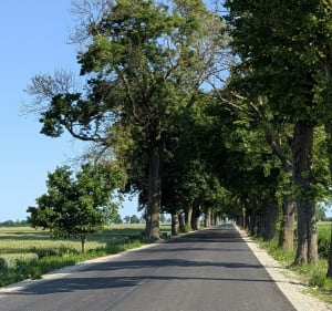 Malbork Nowy Staw przez Świerki - Jacek - 2