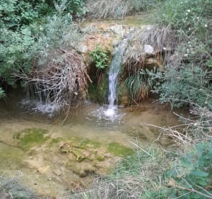 Balade en forêt communale de Villeneuve - Villeneuve - 3