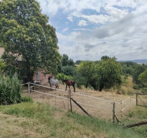 La crête au dessus de Villemur sur Tarn - Villemur-sur-Tarn - 3