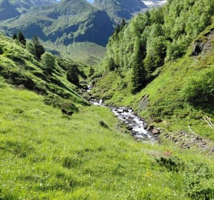 La cabane d'Ourtiga par le GR10 - Germ - 4