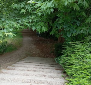 Boucle de Mantes-la-Ville à Arnouville - Mantes-la-Ville - 3
