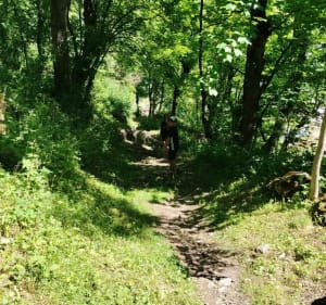 Boucle de Pierrelat en redescendant par le plan du Moulin - Saint-Sorlin-d'Arves - 5