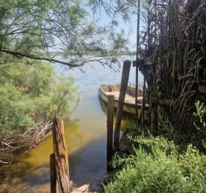 Etang de la Maïre - Sérignan - 4