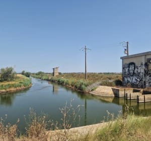 Etang de la Maïre - Sérignan - 5