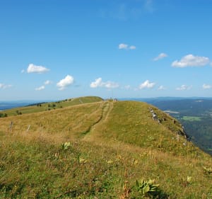Escapade au crêt de Chalam depuis Forens - Chézery-Forens - 4