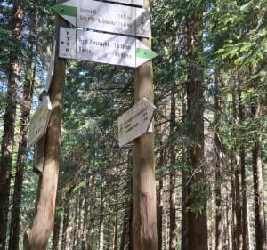 Śnieżnik z Kamienicy - Kamienica - 3
