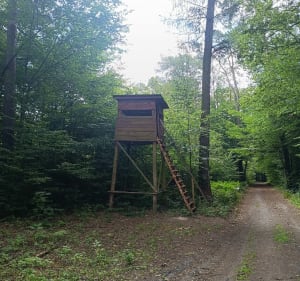 Nowosolna - Wiączyń Dolny - Vita - 3