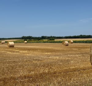 Entre Le Mottier et Eydoche - Mottier - 5