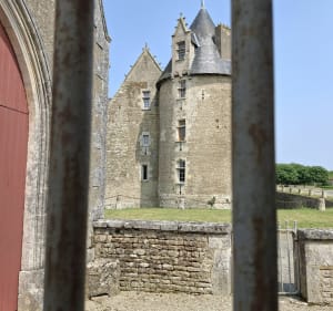 Beau parcours dans la nature autour de Villefagnan - Villefagnan - 3