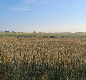 Sortie de 30 kms autour de Poix-de-Picardie - Alexandre - 3