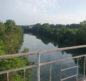 Boucle du Tarn et château de Saint-Géry - Coufouleux - 3