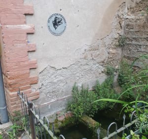 Boucle du Tarn et château de Saint-Géry - Coufouleux - 4