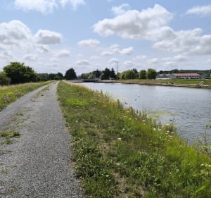 Les rivages de comme watten 12,5km - Watten - 5