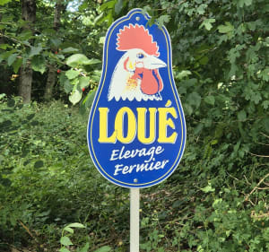 Circuit des Hauts de Cures, par les Chaussins - Cures - 4