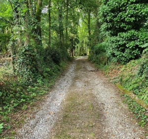 Pentes du château et caperes - Morlanne - 3