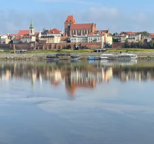 Przez las - Toruń - 4